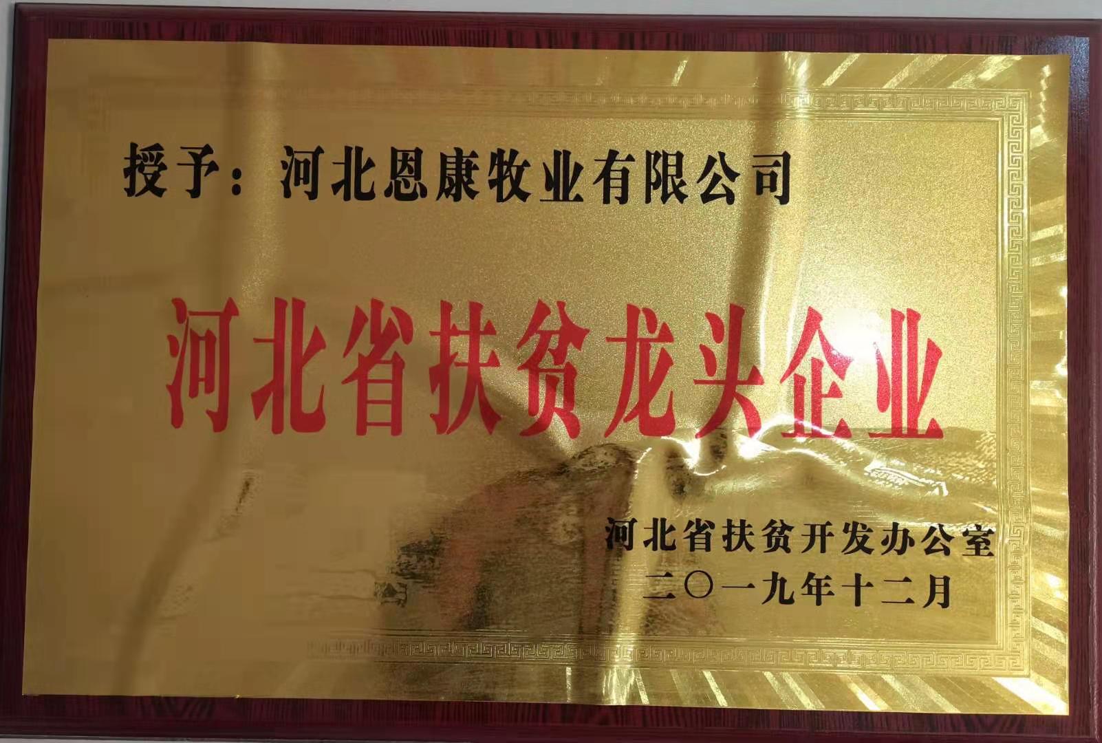 河北省扶贫龙头企业